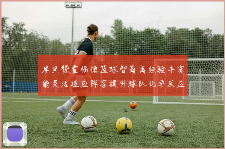 库里赞霍福德篮球智商高经验丰富能灵活适应阵容提升球队化学反应