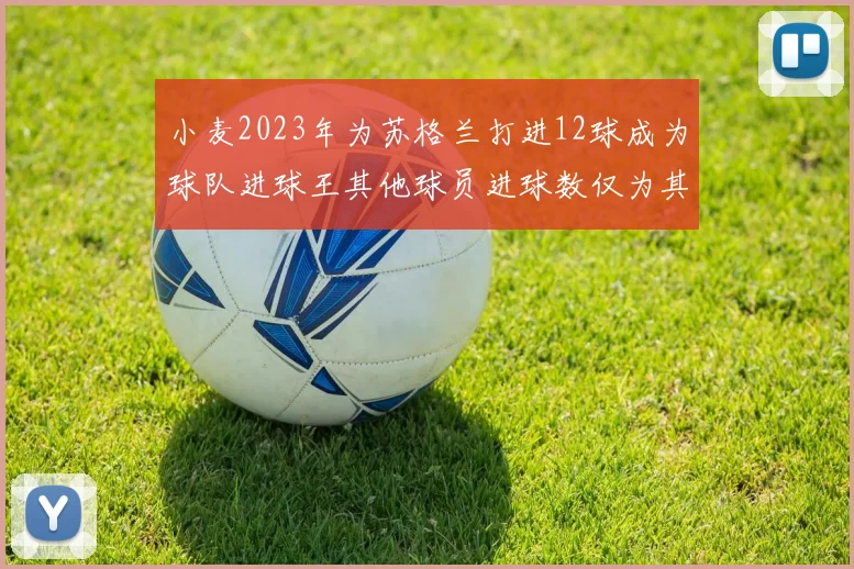 小麦2023年为苏格兰打进12球成为球队进球王其他球员进球数仅为其一半