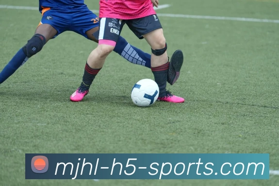 麻将胡了平台生态图